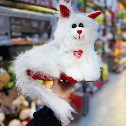 گربه اشرافی سایز۲کد۱۸۰