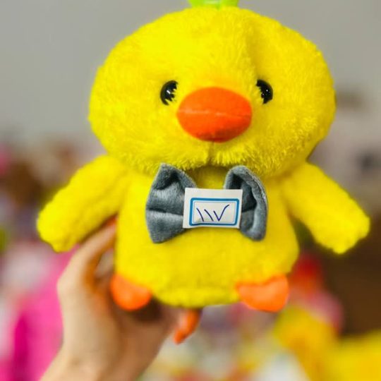 جوجه پاپیونی پرزی کد ۱۱۷
