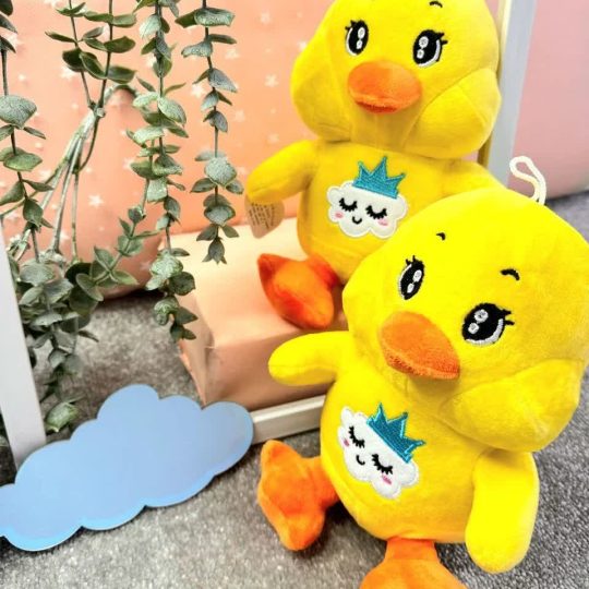 جوجه لپی سایز ۲
